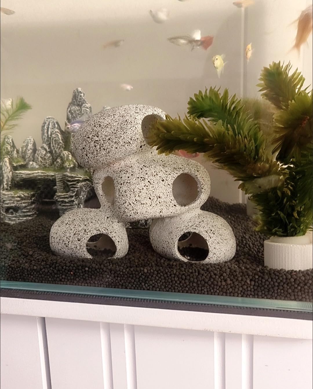 AWXZOM easy clean Betta hideout supports simple tank maintenance