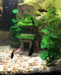 AWXZOM Fish House plants 4inch plant 2 complements the moss habitat.