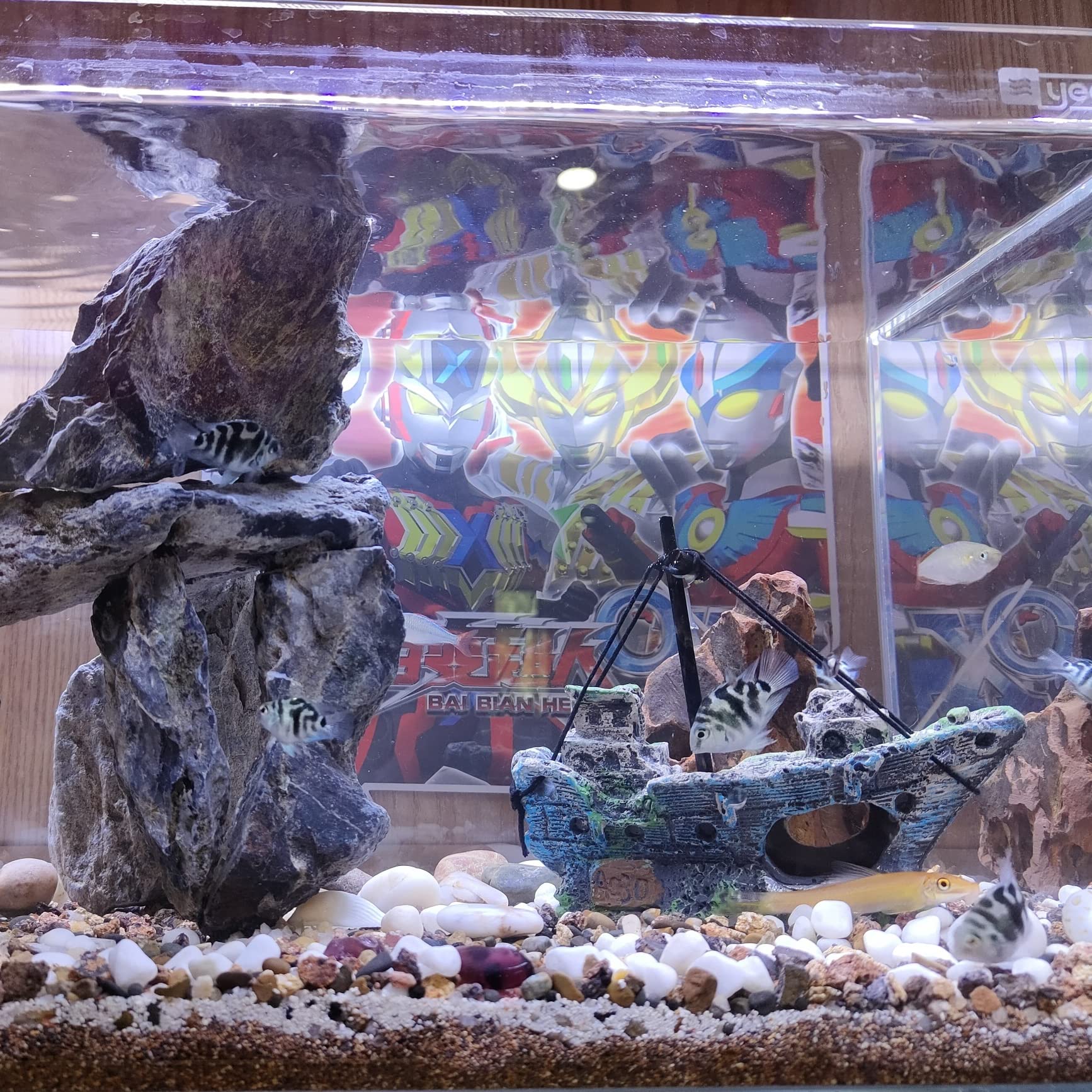 AWXZOM floating balls diver decor adds dynamic movement and visual interest.