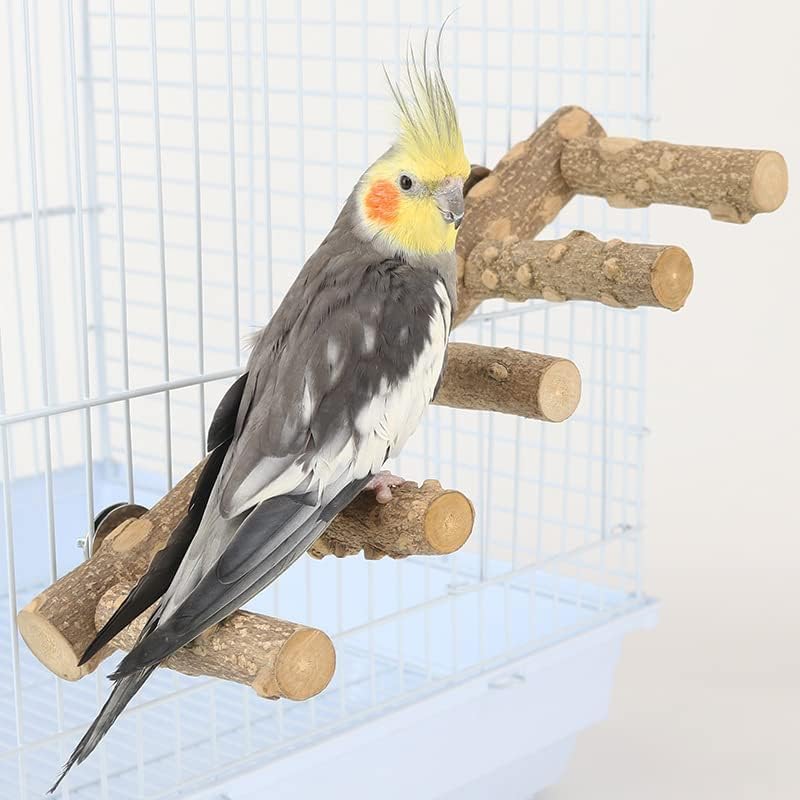 AWXZOM hamster enrichment perch encourages climbing and exploration