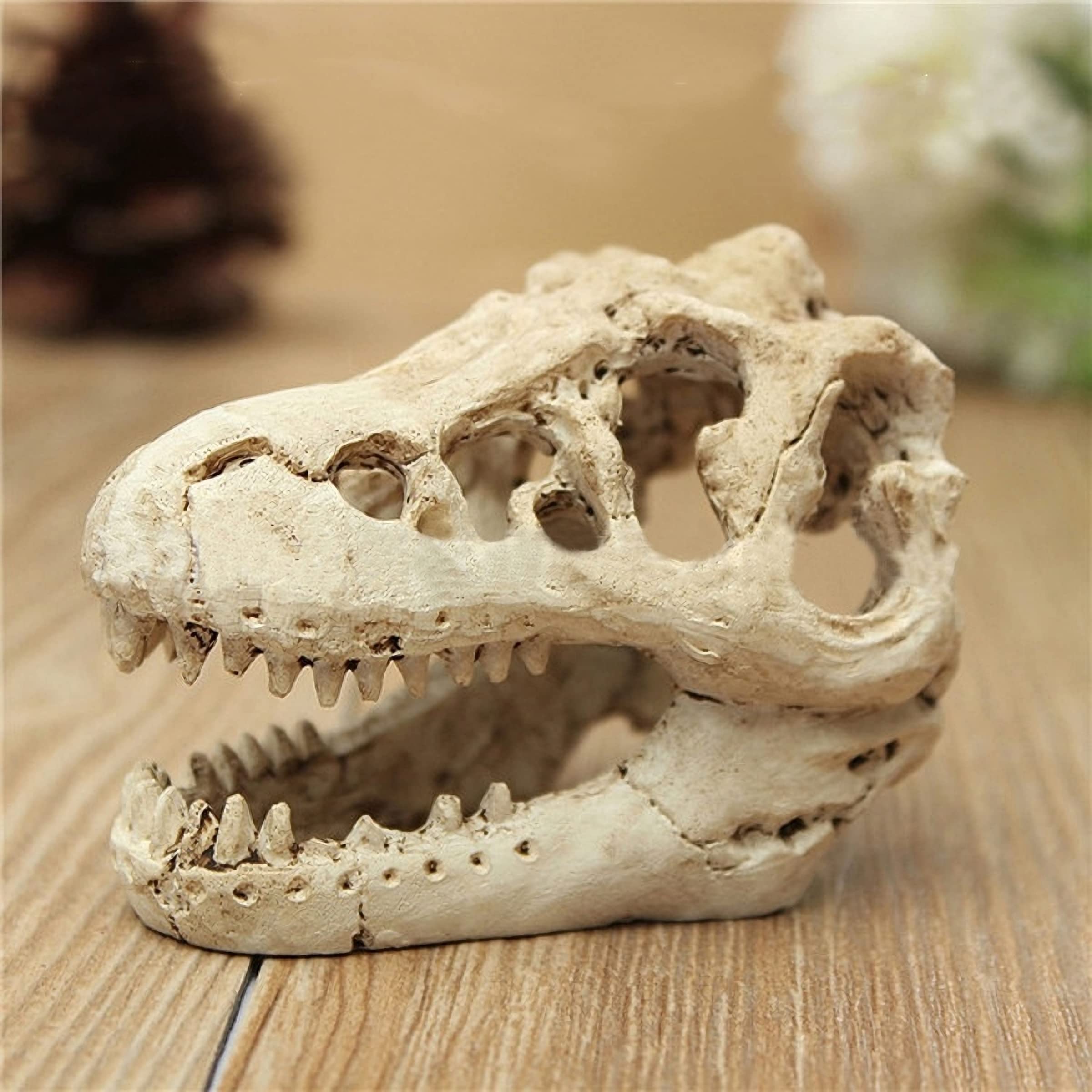 AWXZOM lizard tank decoration adds variety and climbing interest.