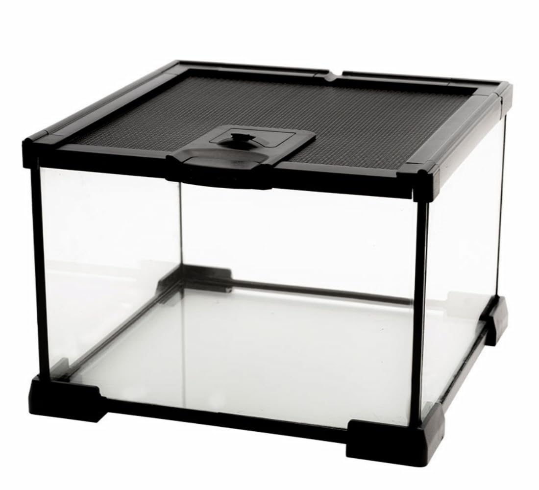 AWXZOM mini reptile glass terrarium front view shows clear visibility for easy observation