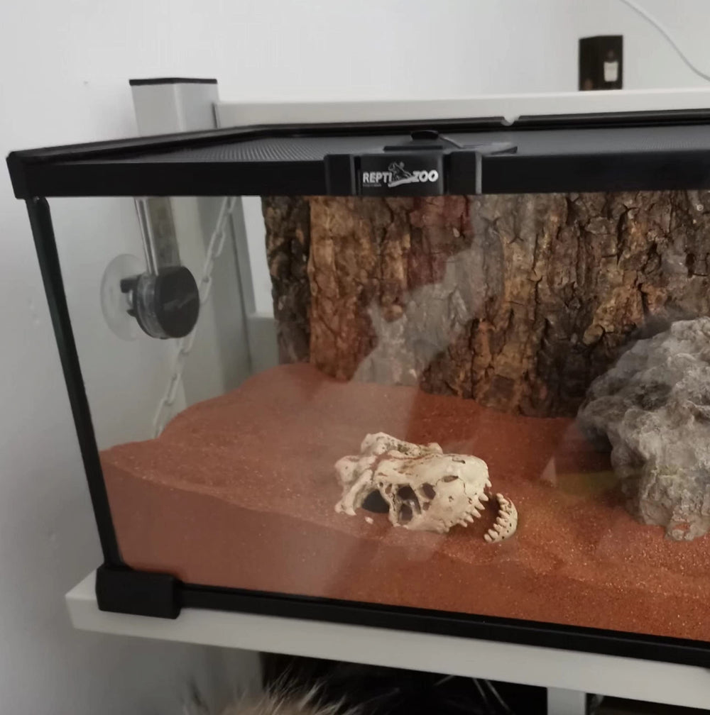 AWXZOM reptile arboreal hide provides shelter in terrariums.