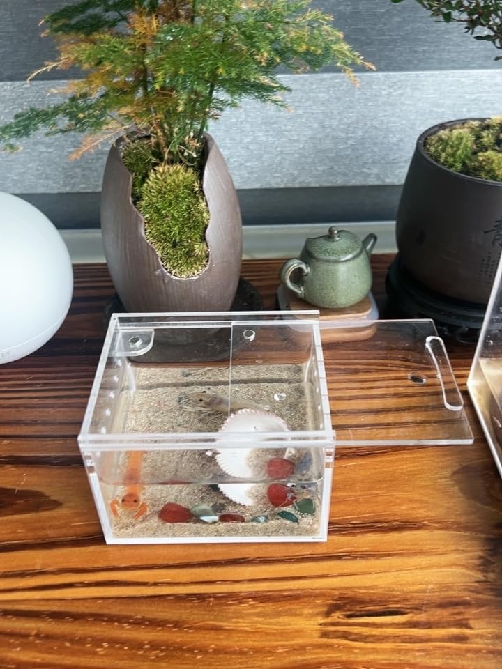 AWXZOM reptile feeding box transparent side reveals pet behavior for easy monitoring