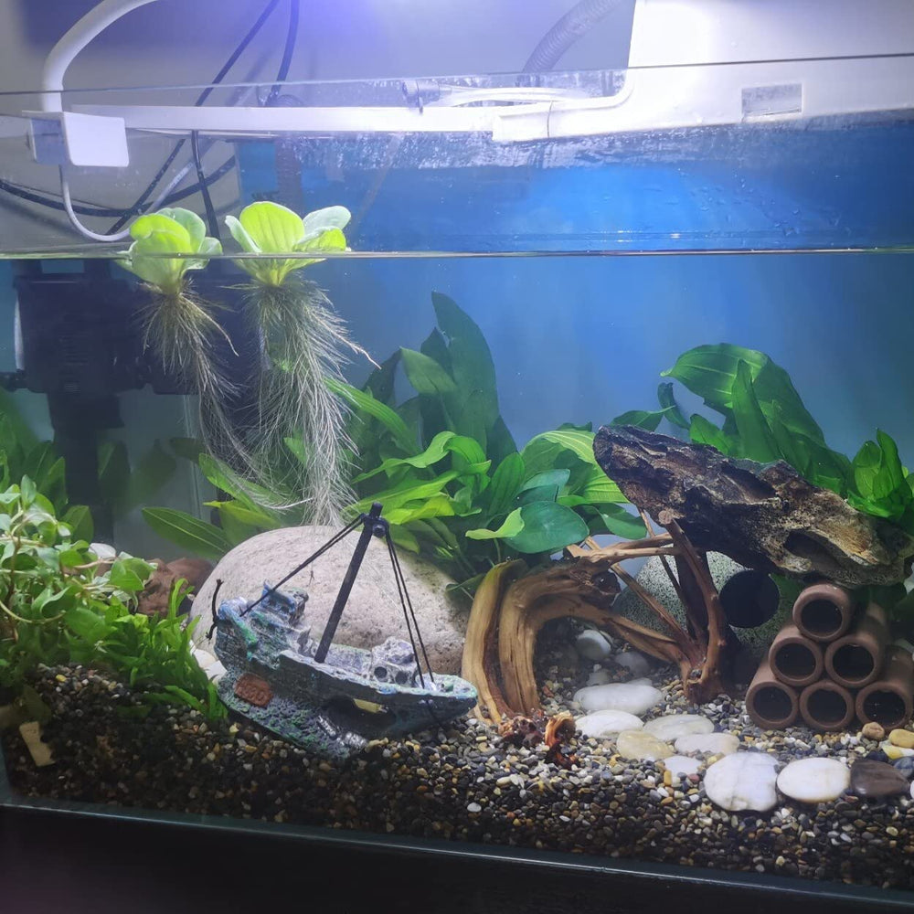 AWXZOM small aquarium ornament fits compact tanks and is easy to clean.