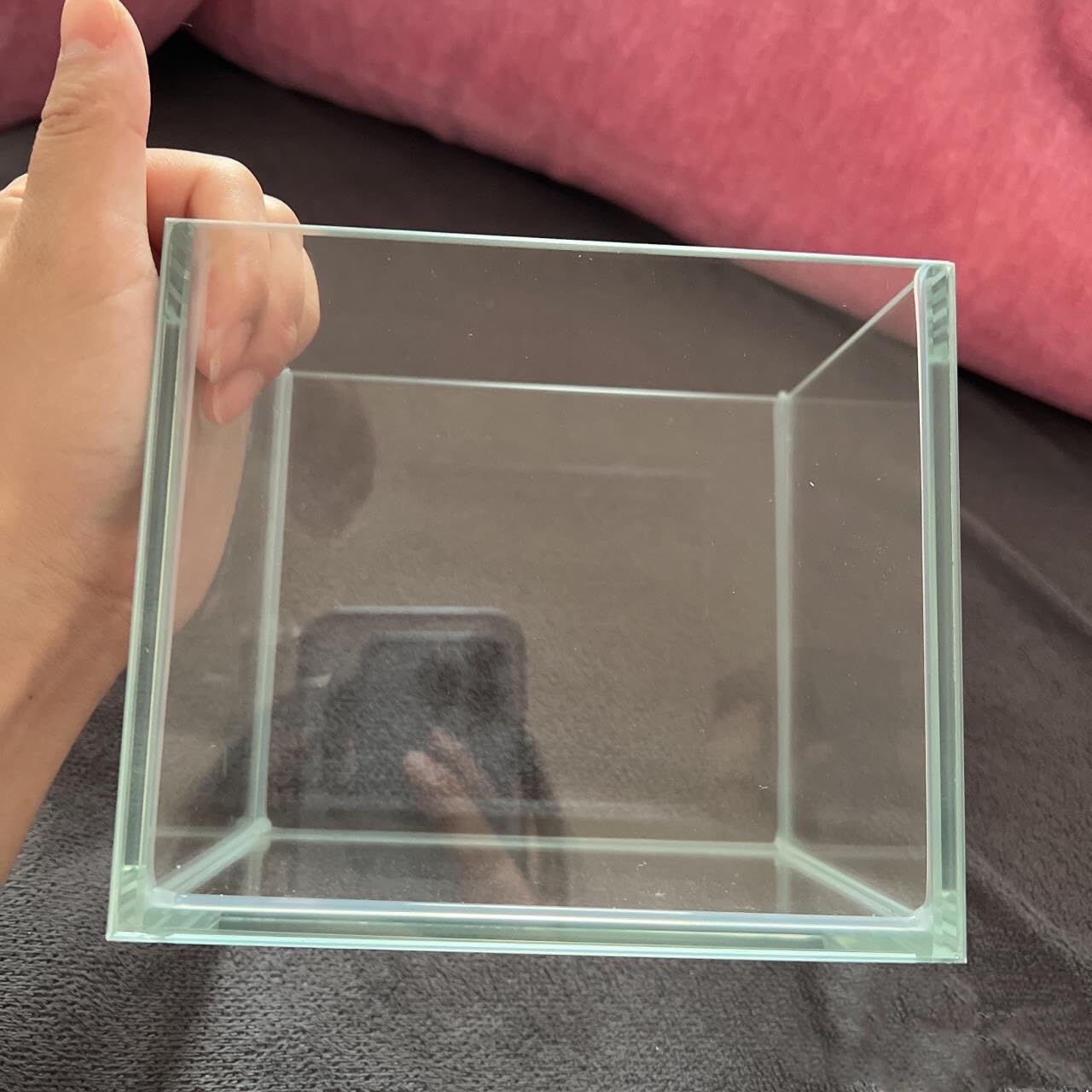 AWXZOM nano tank with betta fish demonstrating compact habitat
