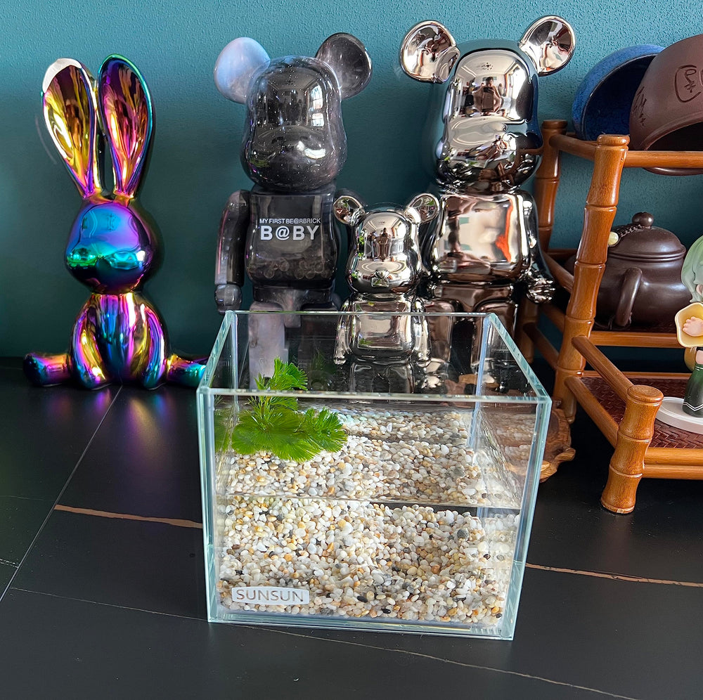 AWXZOM nano tank on a desk display highlighting space saving design