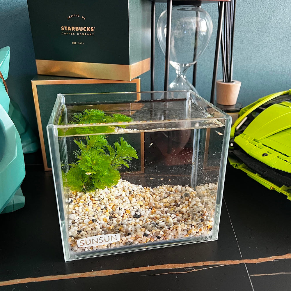AWXZOM nano tank with small creatures emphasizing tiny residents