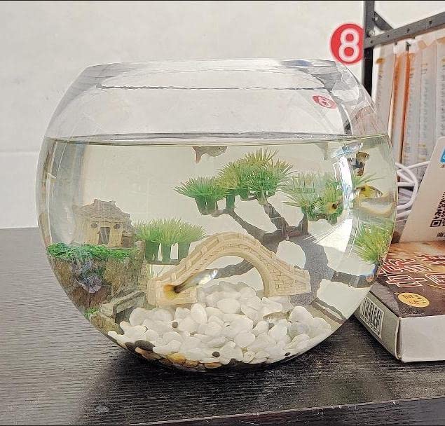 AWXZOM small plant decor enhances color and shelter in compact tanks