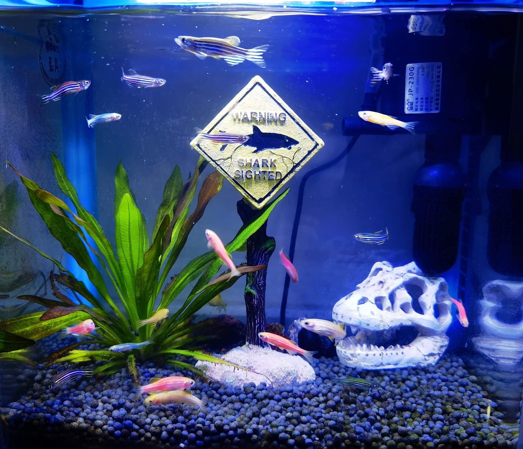 AWXZOM snake tank skull decor highlights natural history and hides.