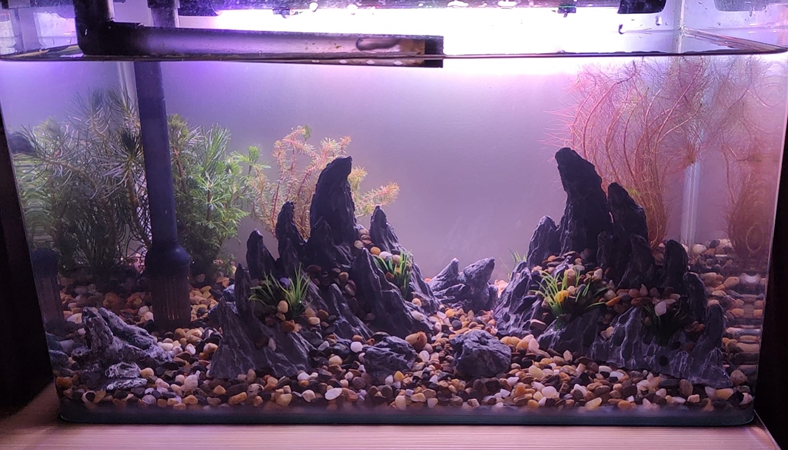 AWXZOM Soul Valley small stones for natural accents in aquarium décor