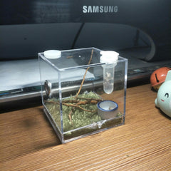 AWXZOM Spider Terrarium includes driftwood and turf for realistic, enriching setups