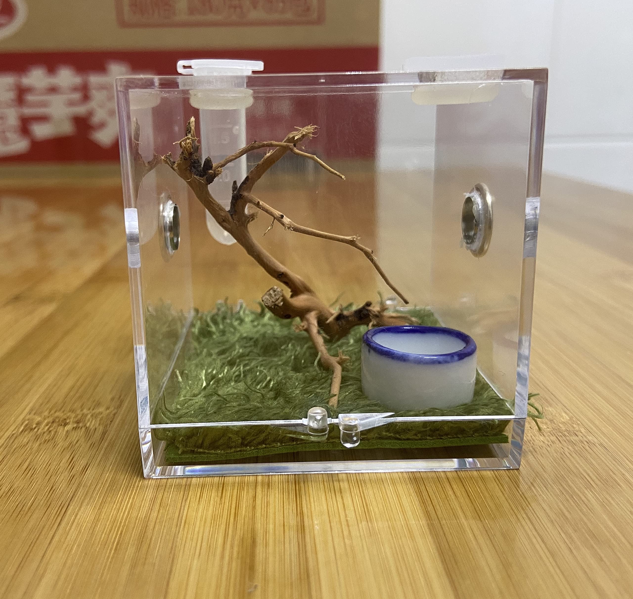 AWXZOM Spider Terrarium bottom opening aids secure containment and maintenance