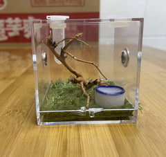 AWXZOM Spider Terrarium bottom opening aids secure containment and maintenance