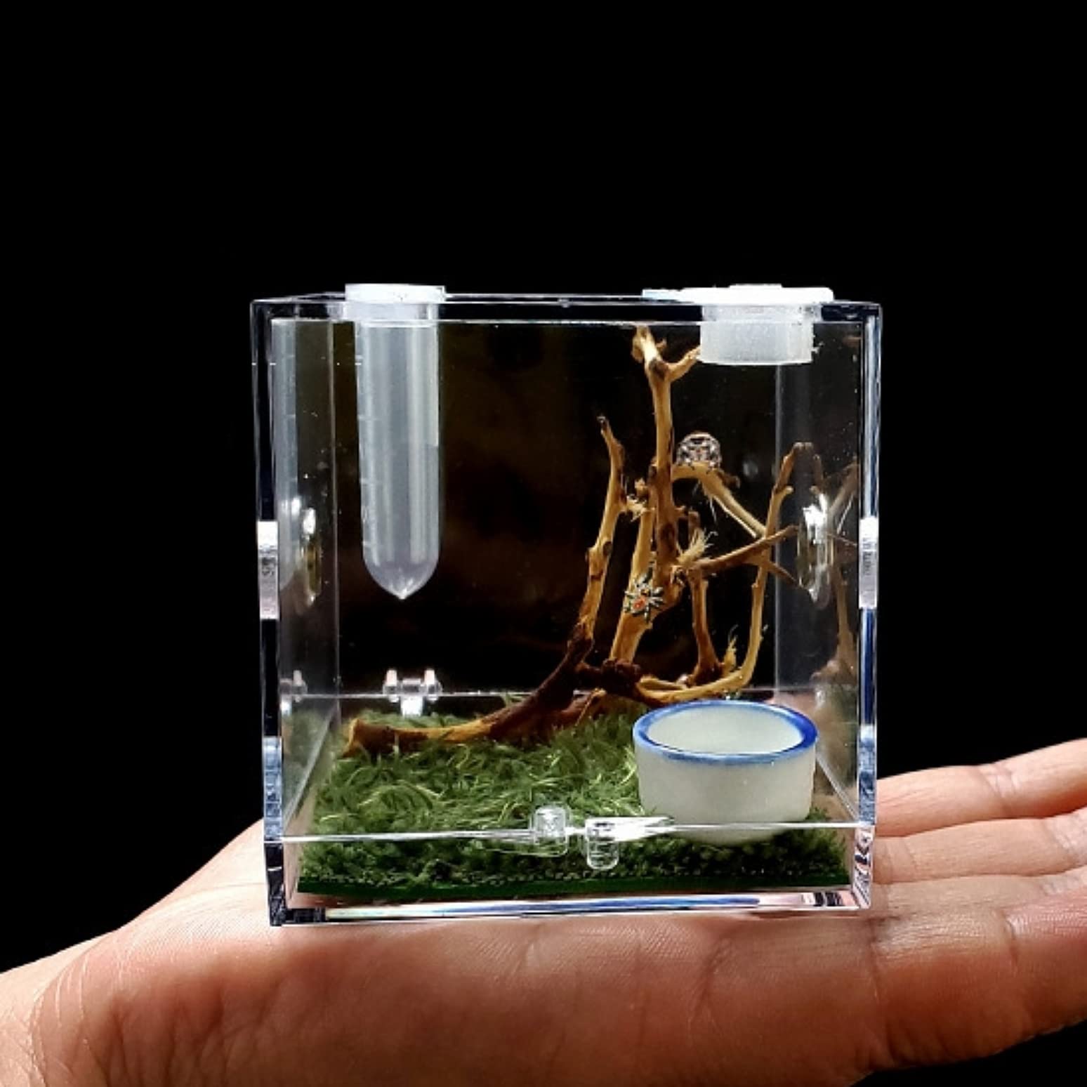 AWXZOM Spider Terrarium front view shows clear acrylic for easy pet observation