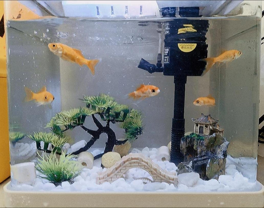 AWXZOM tank-layout display shows how the set transforms a small aquarium