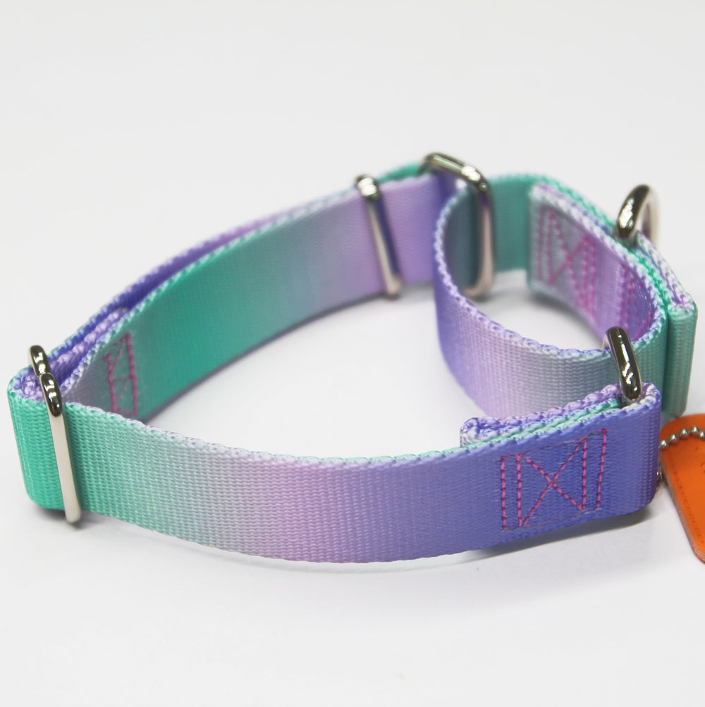 Axdvk Martingale Collar size range 17-25 inches fits large dogs securely.