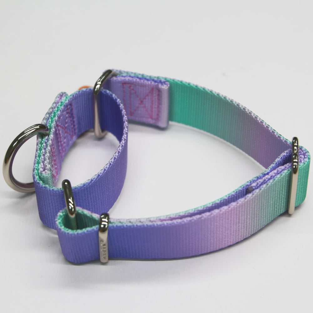 Axdvk collar detail shows reinforced stitching and welded D-ring durability.