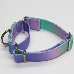 Axdvk collar detail shows reinforced stitching and welded D-ring durability.
