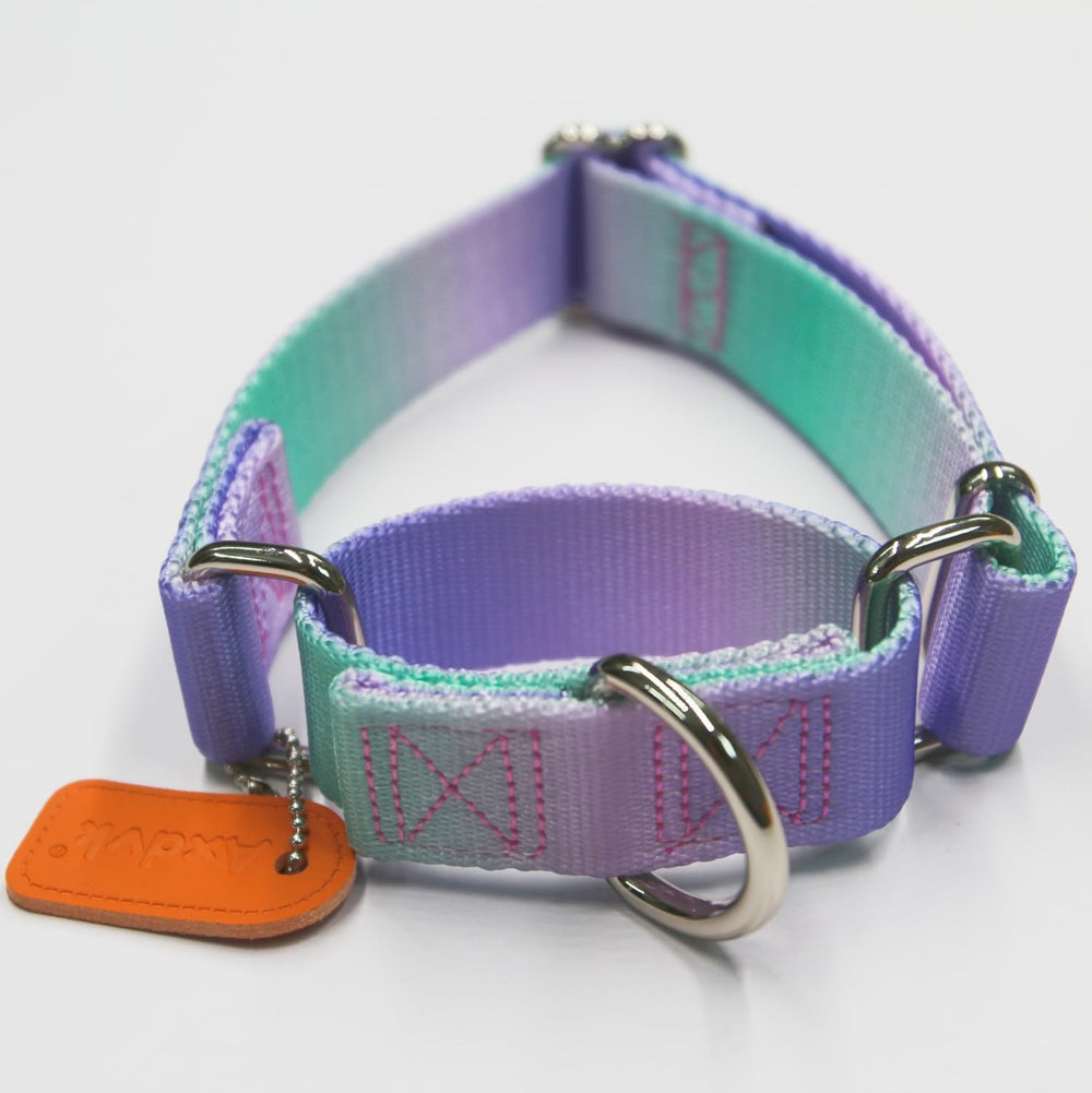 Axdvk Martingale Collar in purple-green worn during a stroll for escape prevention.