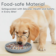 AXEFUN non-slip base image shows stable bowl for mess-free mealtimes.