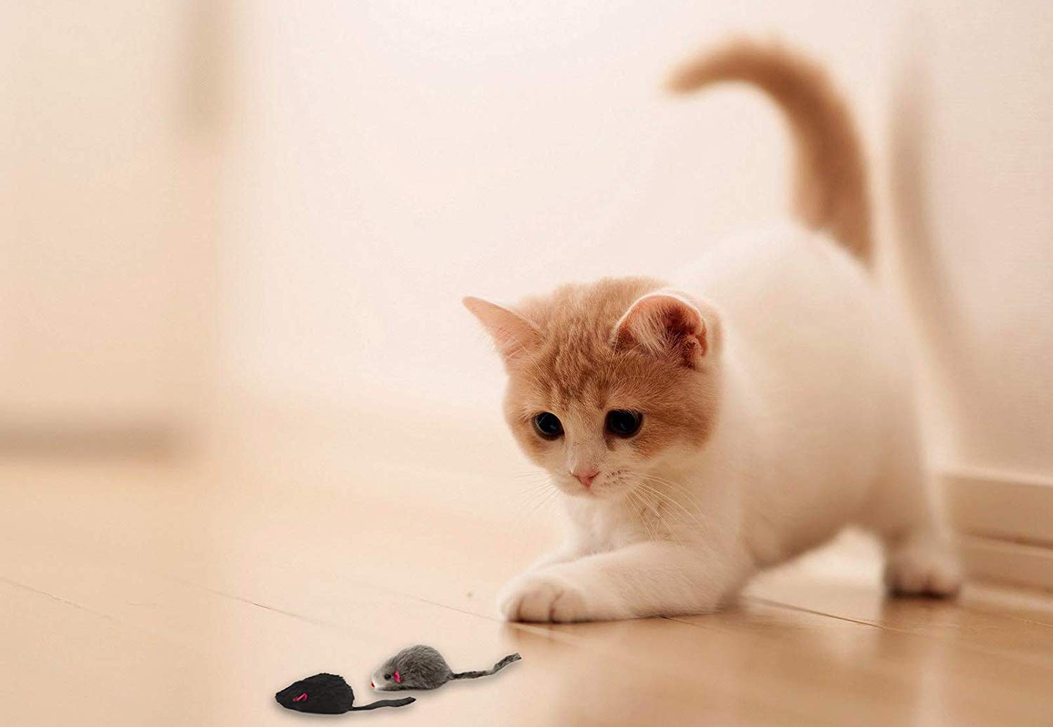 AXEL PETS 20-mice colors black white grey for varied indoor fun