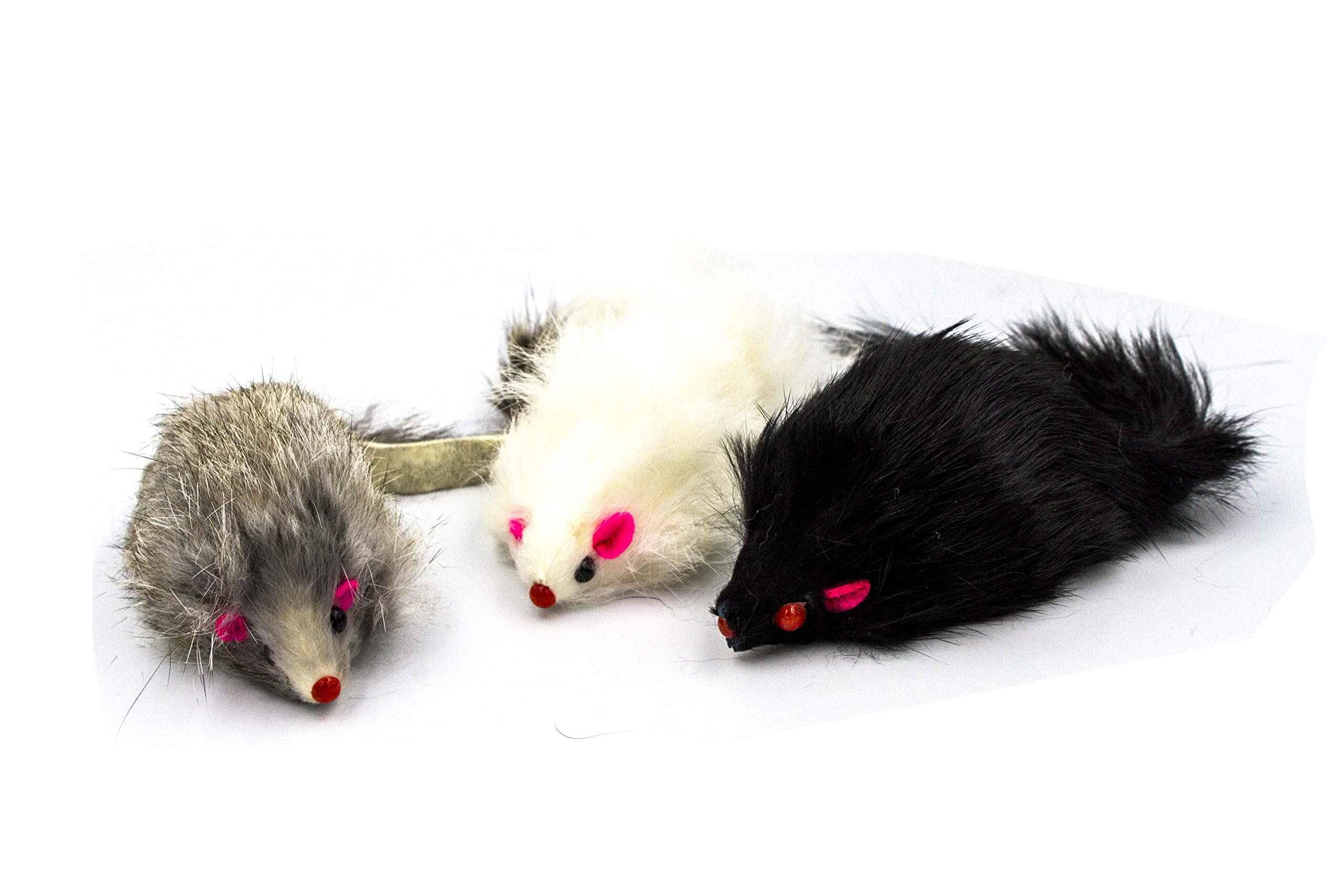 AXEL PETS assembled pack of 10 for interactive catch and independent play.