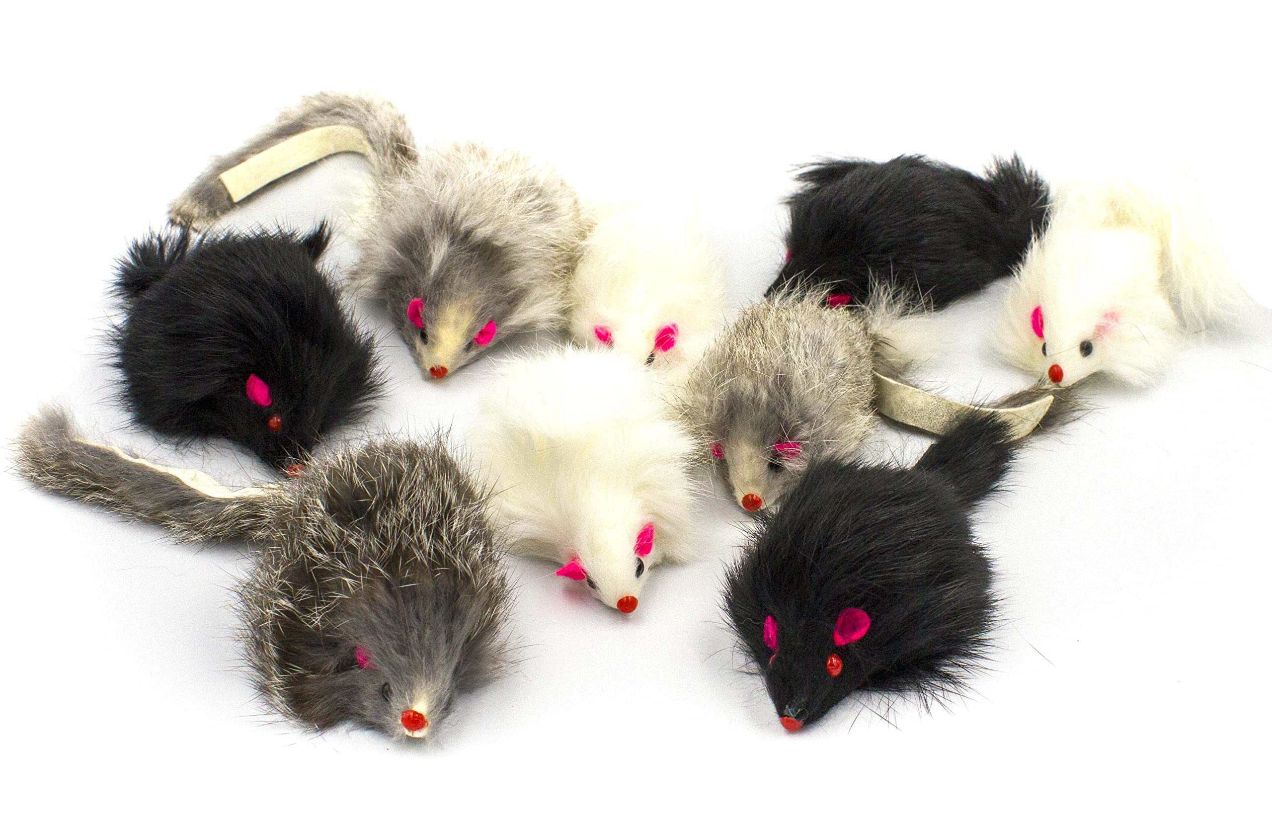 AXEL PETS cat interaction play with catnip-scented rattle mice.