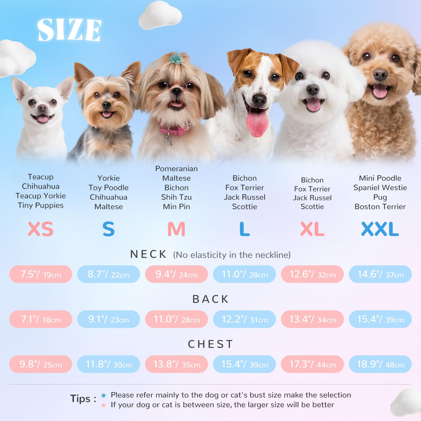 AXIIJGL summer pet shirt provides light, breathable coverage on warm days.