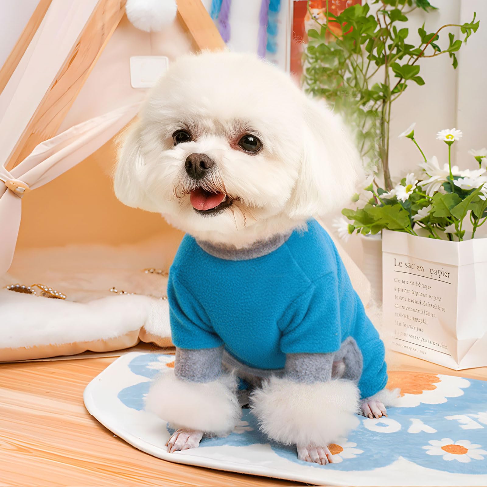AXIIJGL two-pack dog pajamas offer versatile outfits for daily wear