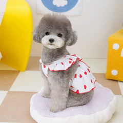 AXIIJGL small-dog dress bow-detail adds charming accent.
