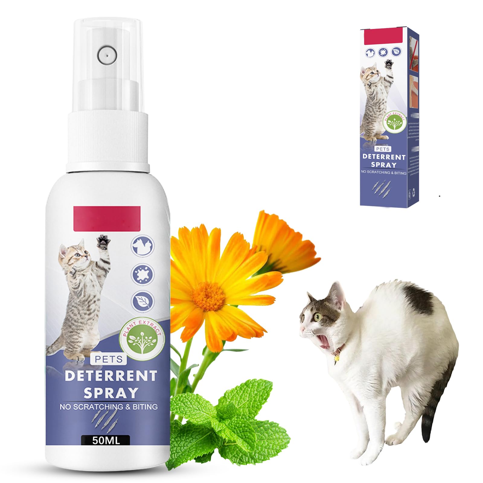 Axofwga Cat Deterrent Spray bottle closeup promotes safe-space training for cats.
