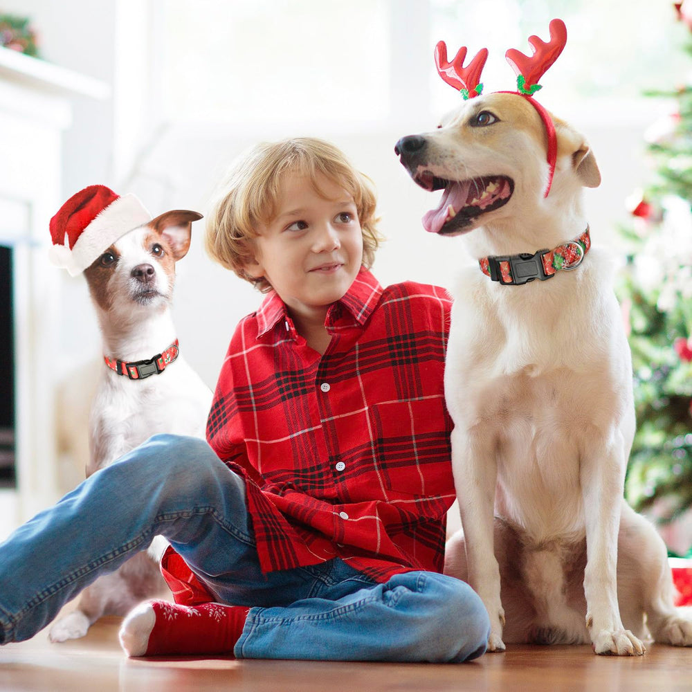 Ayaseen adjustable sliding buckle collar easy to fit a growing pet