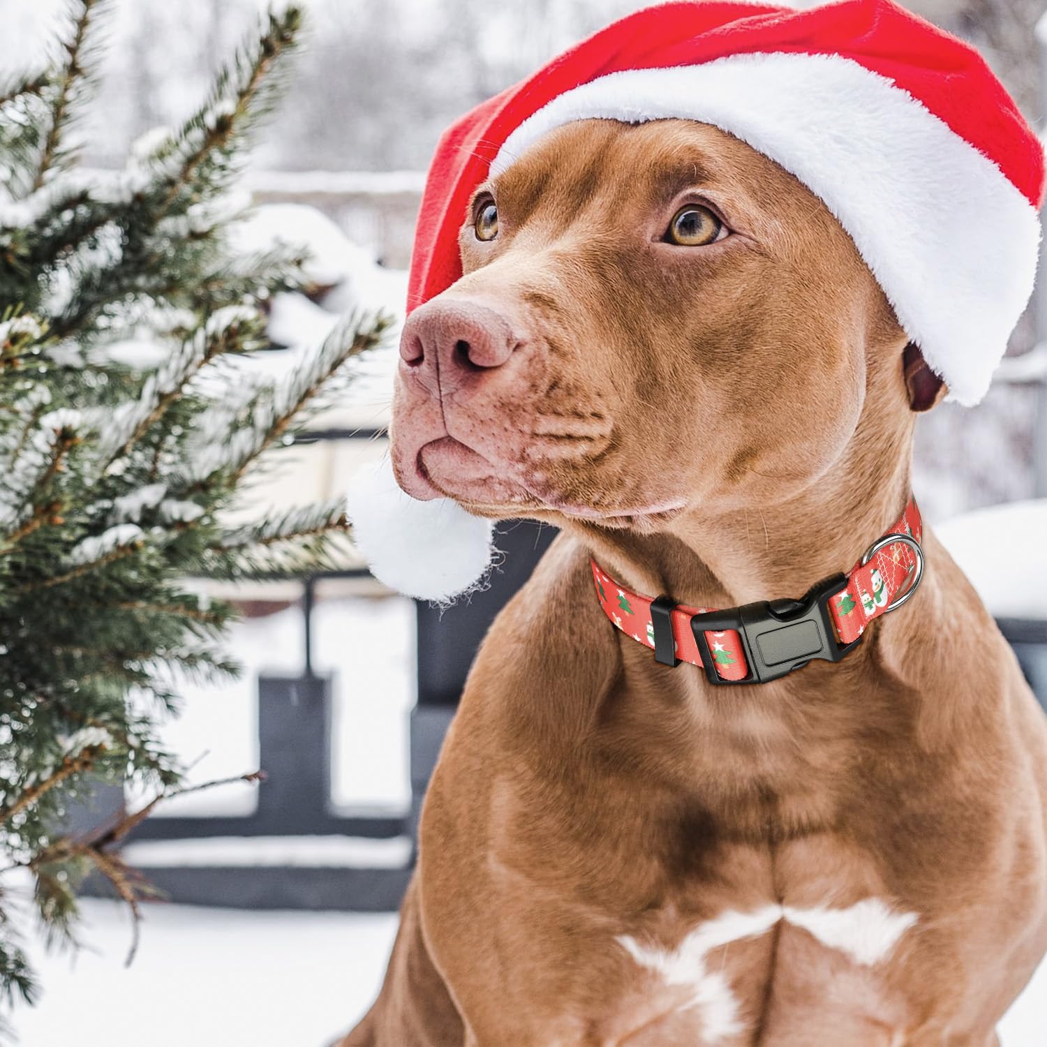 Ayaseen Christmas collar packaging set ideal for gifting and holidays