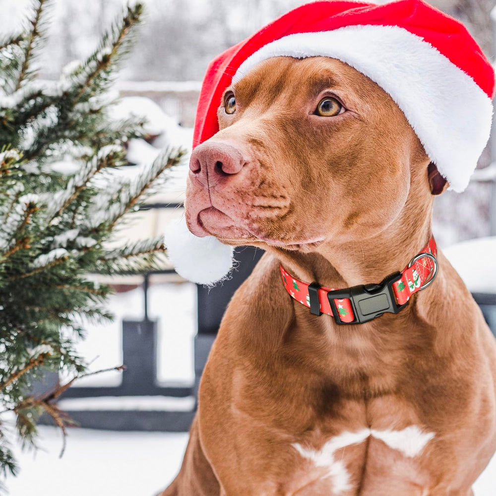 Ayaseen Christmas collar packaging set ideal for gifting and holidays