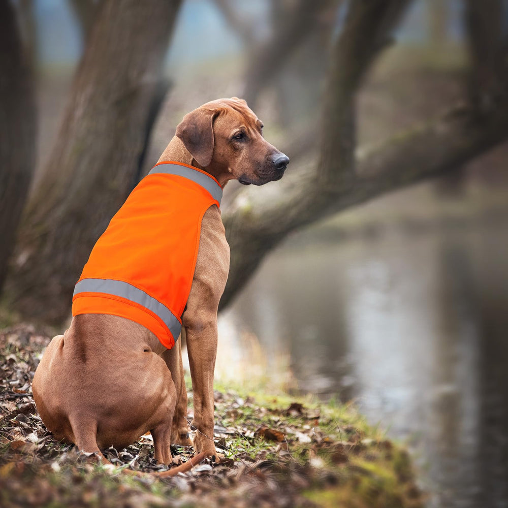 Ayaseen dog vest in hunting and outdoor use improves visibility