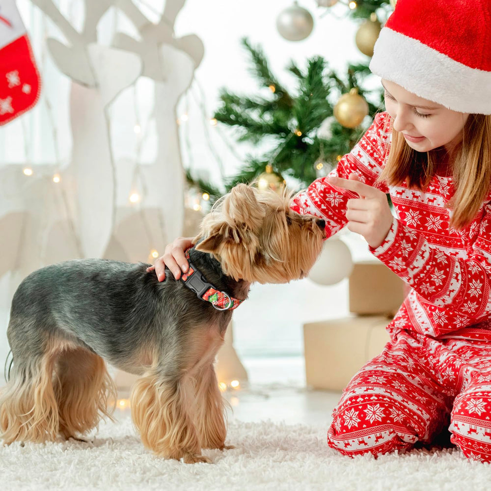 Ayaseen two-collar set for daily wear, parties, and winter strolls