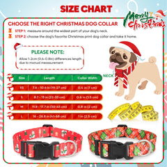 Ayaseen lightweight polyester collar reduces weight while staying durable