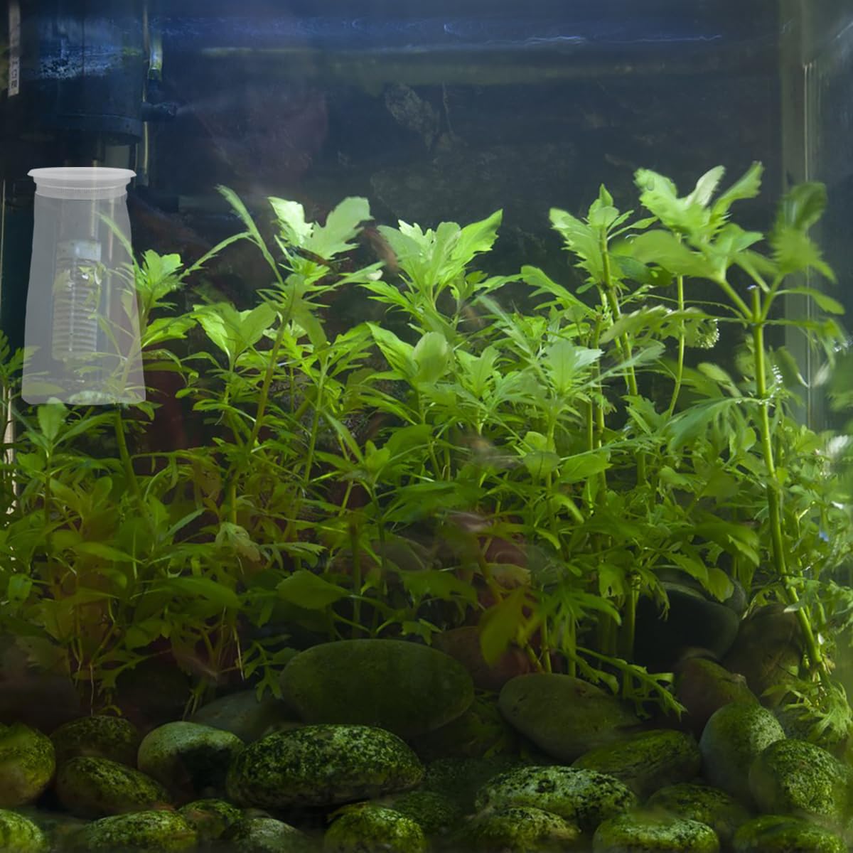 AYWFEY activated-carbon media fit shows media compatibility for enhanced filtration.