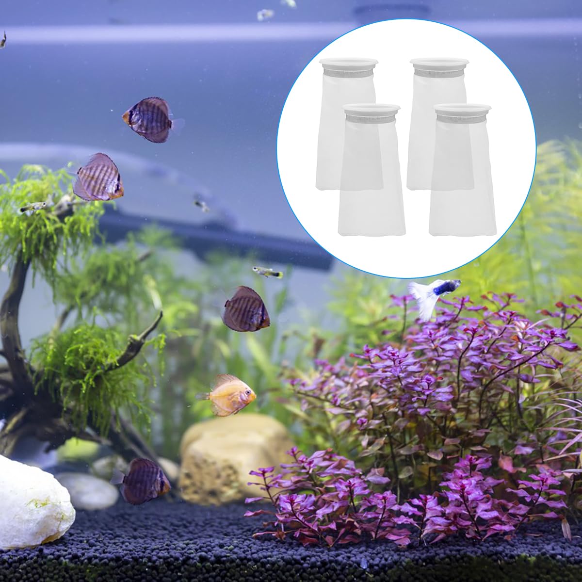 AYWFEY filter sock packaging shows four-pack for easy replacements.