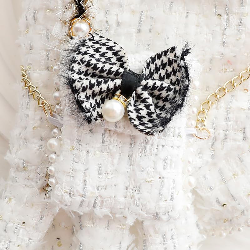 AZA dog princess dress Lolita white on puppy pose for charming looks