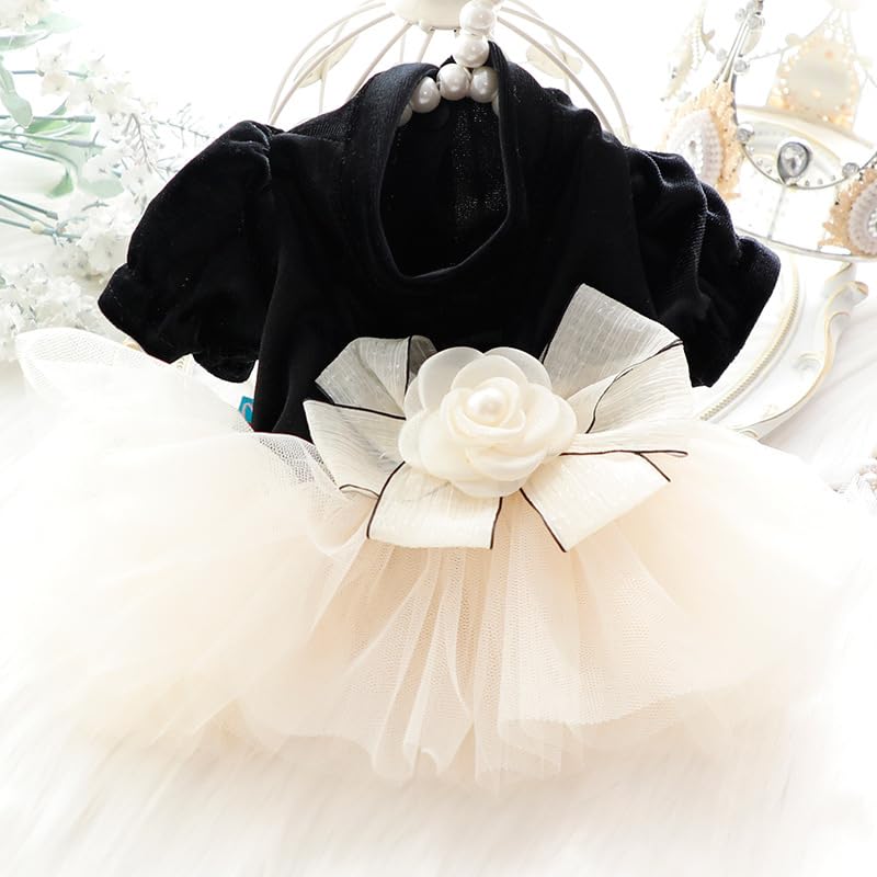 AZA spring costume with bright colors for sunny outdoor outings.
