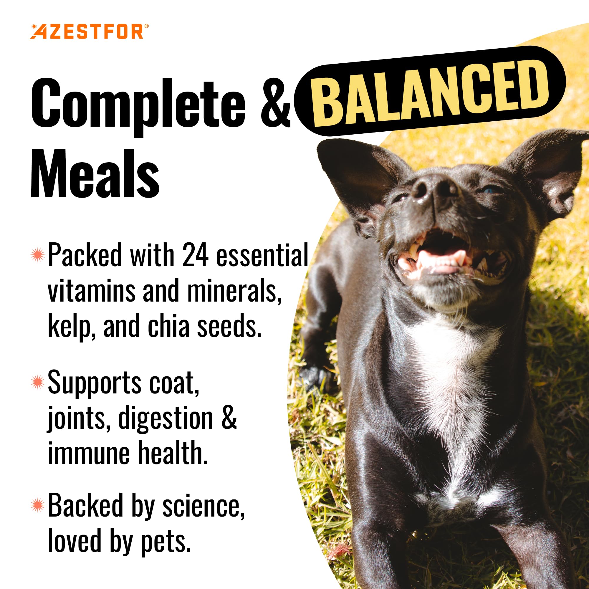 Azestfor 24 nutrients powder closeup highlights whole-food ingredients for vitality