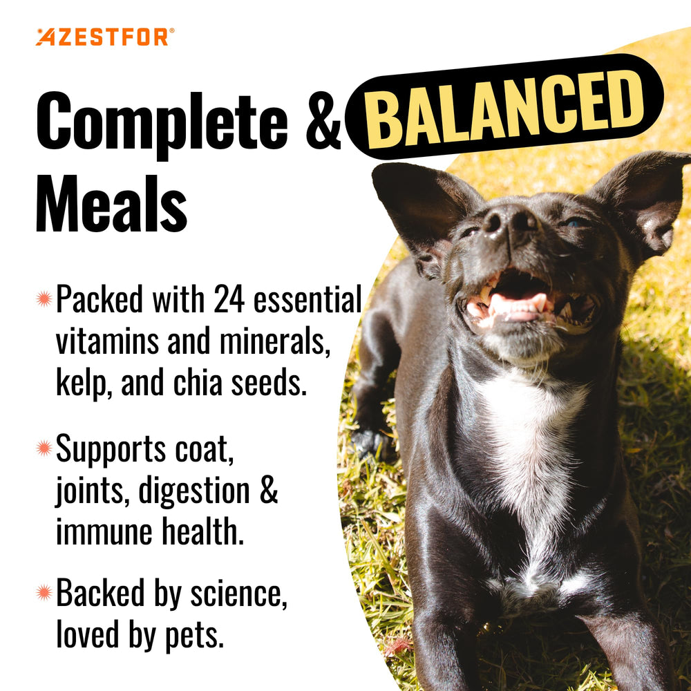 Azestfor 24 nutrients powder closeup highlights whole-food ingredients for vitality
