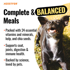 Azestfor 24 nutrients powder closeup highlights whole-food ingredients for vitality