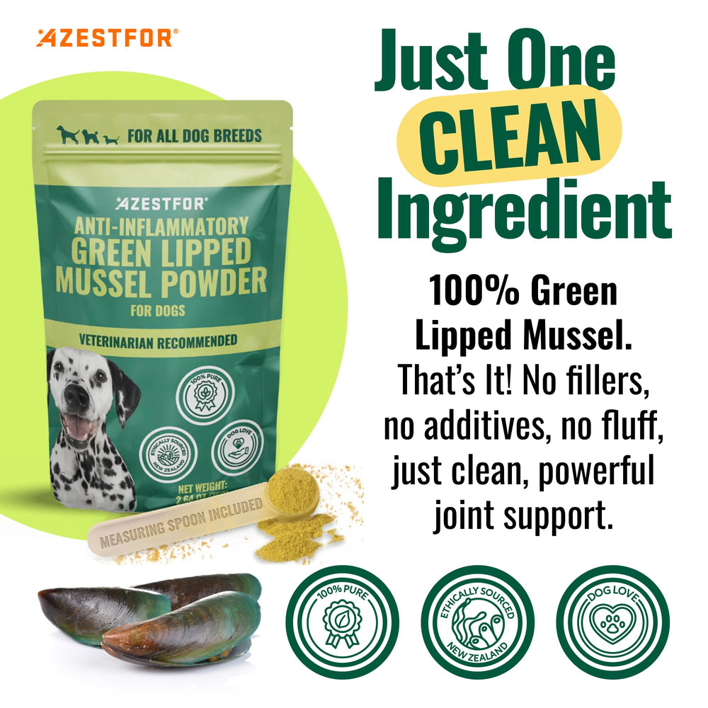 Azestfor green-lipped mussel dog powder bottle closeup highlights omega-3 richness for healthy joints