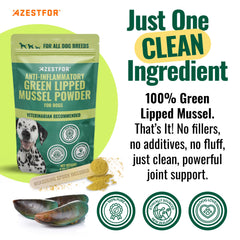 Azestfor green-lipped mussel dog powder bottle closeup highlights omega-3 richness for healthy joints