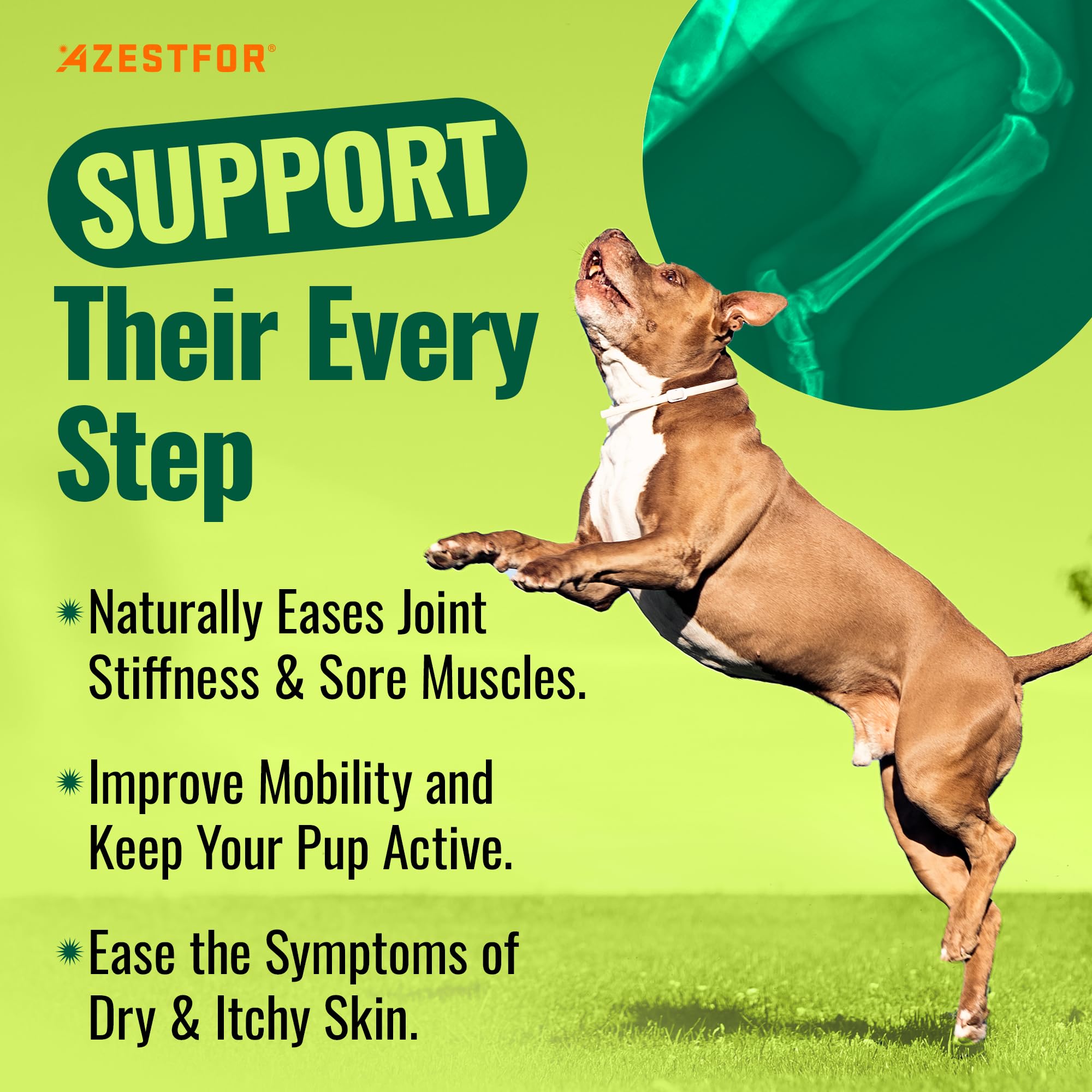 Azestfor green-lipped mussel dog powder measuring scoop demonstrates precise serving size for 150 servings