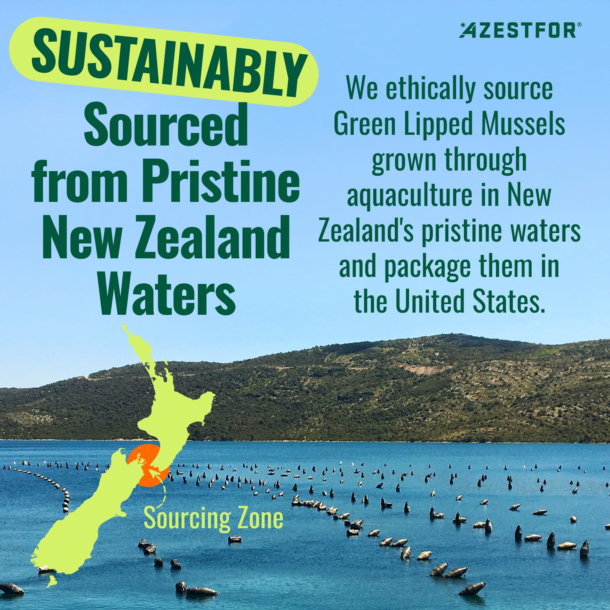 Azestfor green-lipped mussel dog powder NZ sourcing label underscores ethical water origin