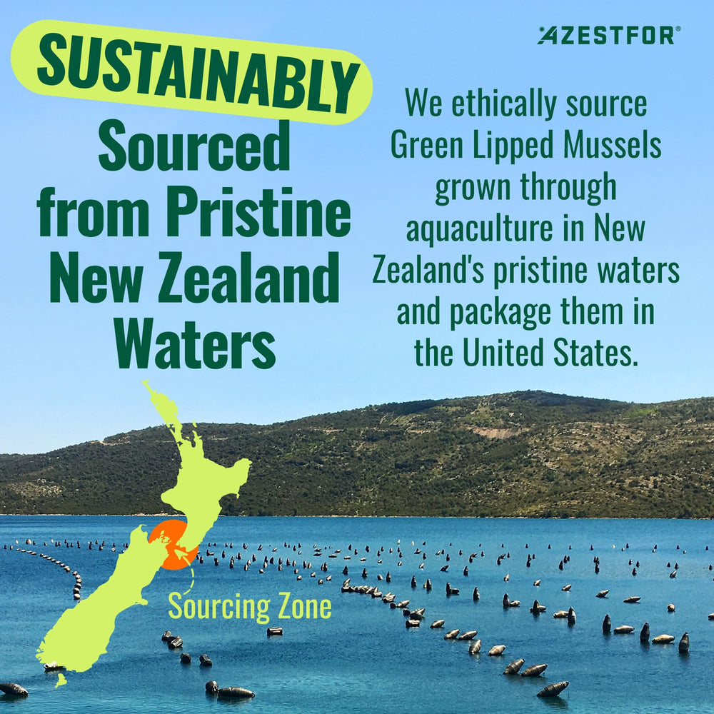 Azestfor green-lipped mussel dog powder NZ sourcing label underscores ethical water origin